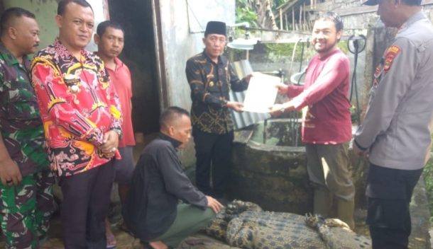 Kapolsek Semaka Hadiri Penyerahan Buaya kepada BKSDA Bengkulu-Lampung